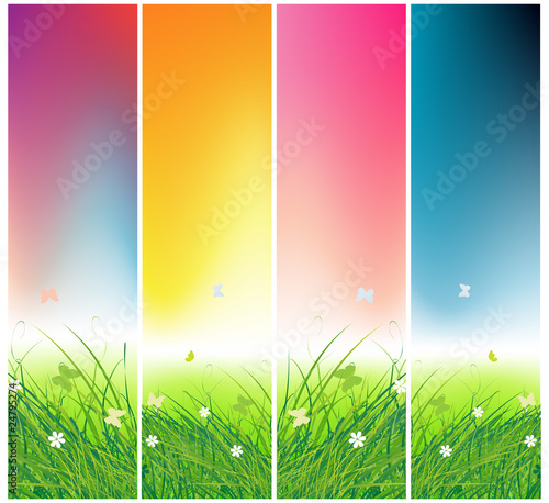 Green field with butterflies, times of day