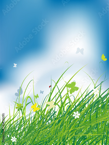 Green field with butterflies, summer background