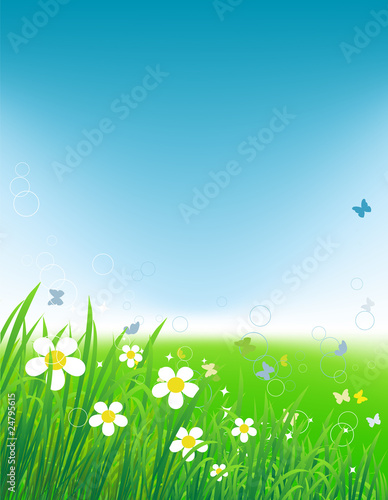 Green field with butterflies, summer background