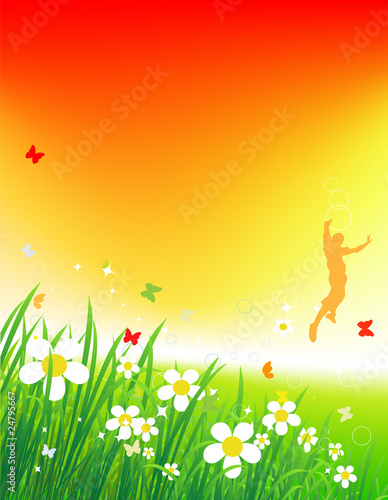 Sunset on green field, summer background