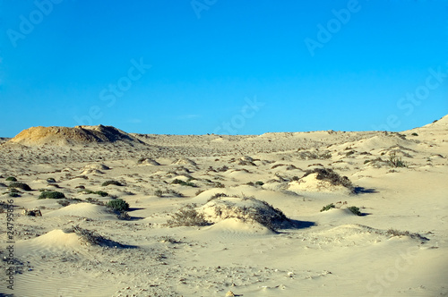 Sahara Desert, Western Sahara