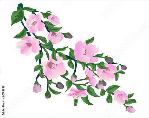 Цветущая ветка / Blossoming Twig