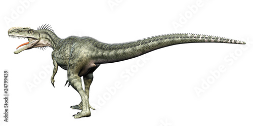 monolophosaurus back side