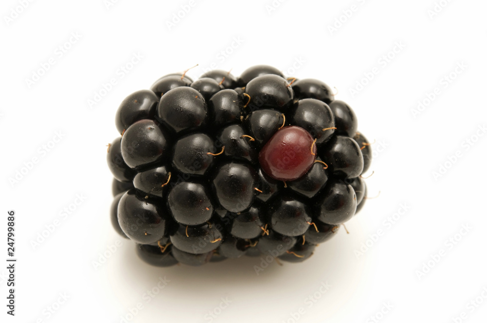 Blackberry Blackberry