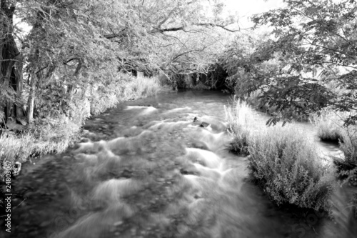 Long-exposure rushing creek
