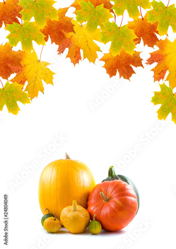 Maple leaves and pumpkins