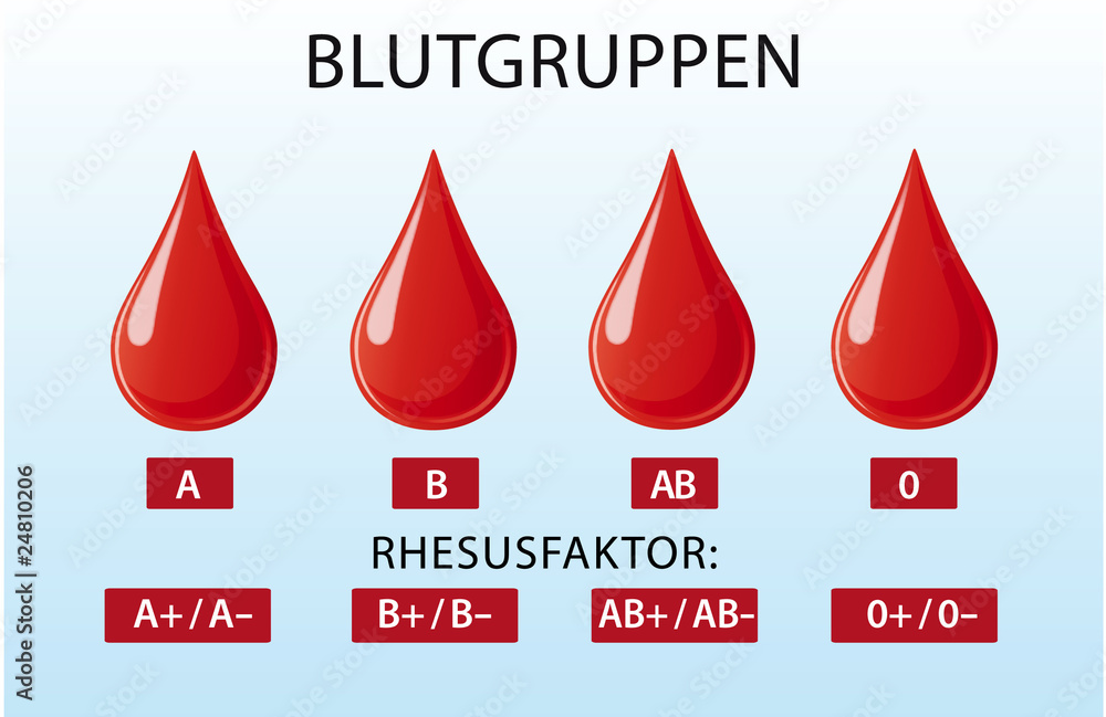 Warum Gibt Es Verschiedene Blutgruppen stock.adobe.com