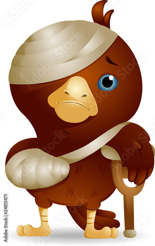 Injured Bird