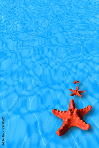 Water background with red starfish