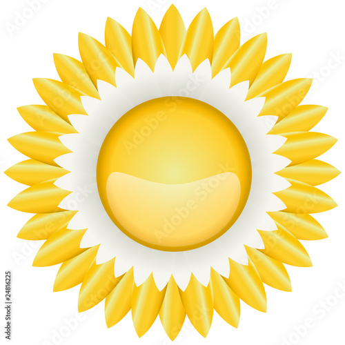 Floral Vector Flower Power