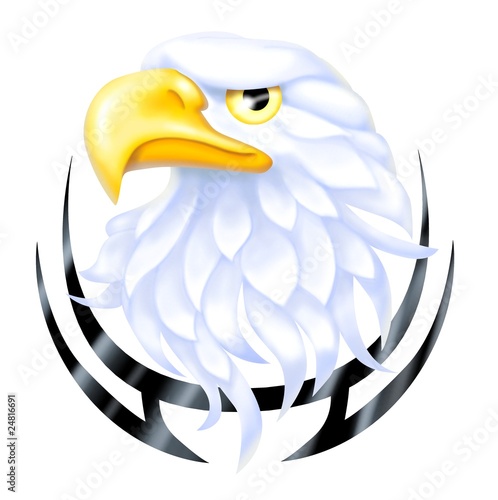 eagle head photo