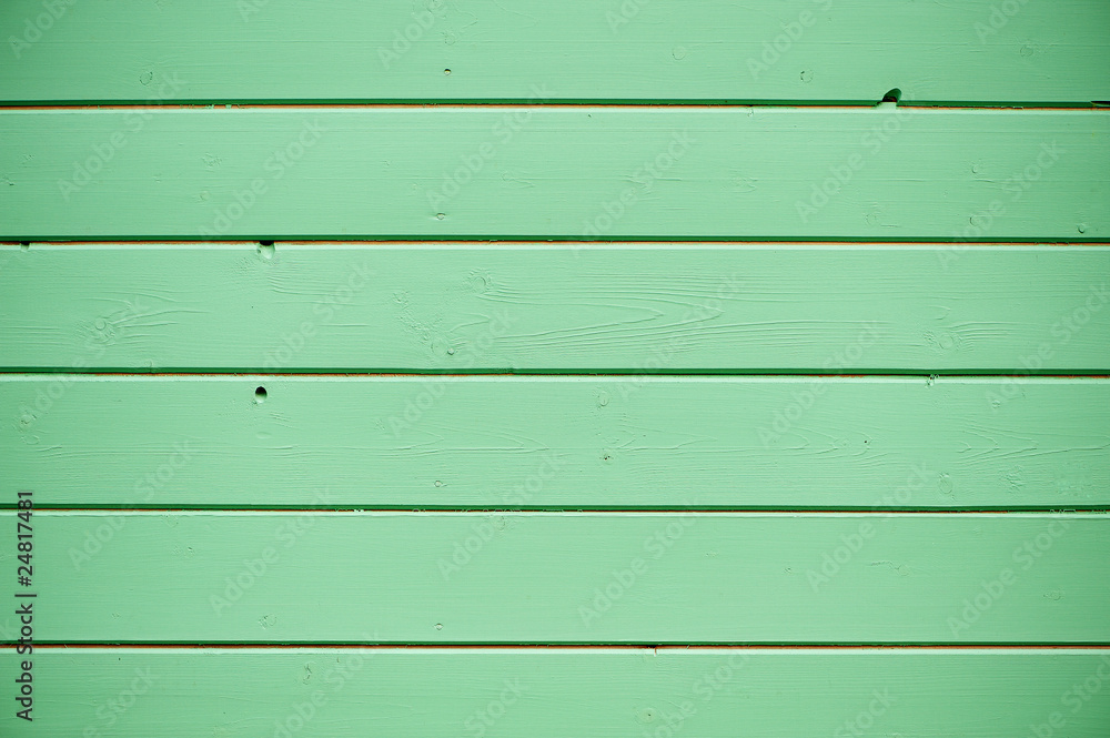 Naklejka premium green wall