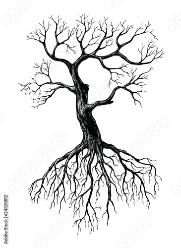 big leafless tree