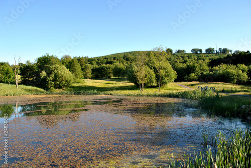 green landscape ireland