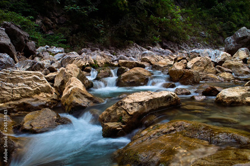 Brook of forest Brook of forest