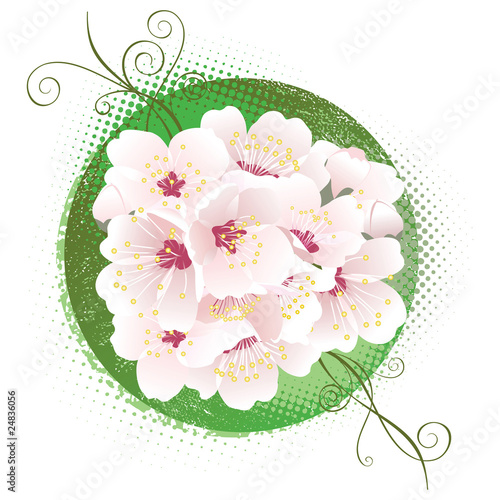 Spring blossom