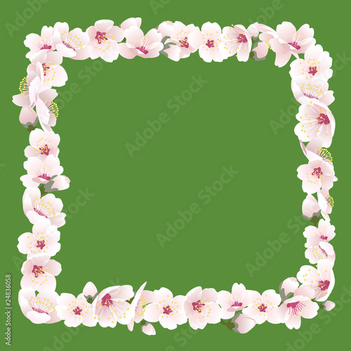 Spring blossom frame