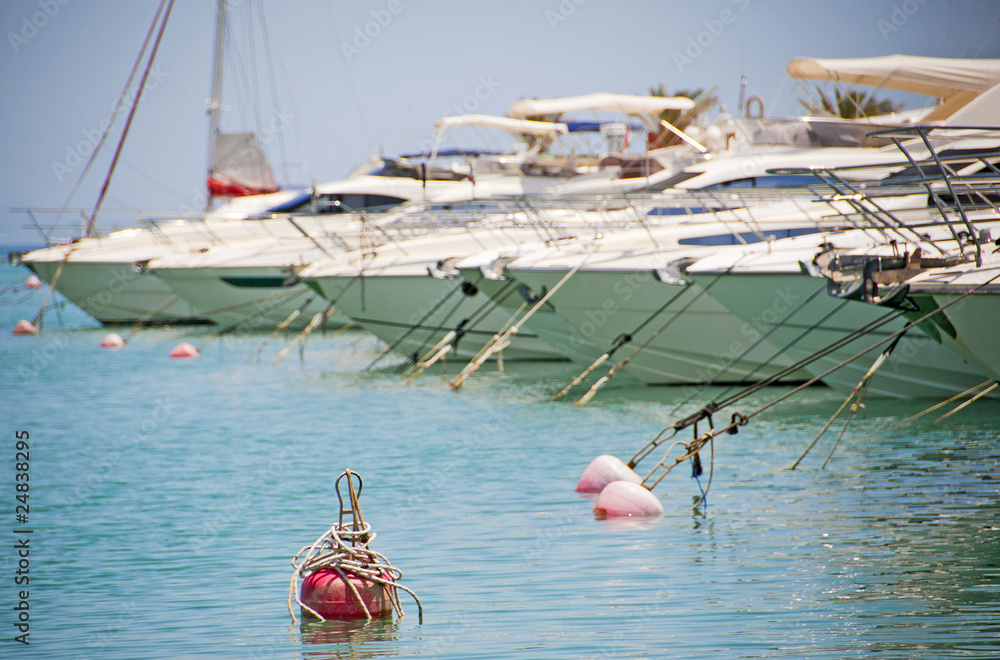 Obraz premium Private motor boats moored in a marina
