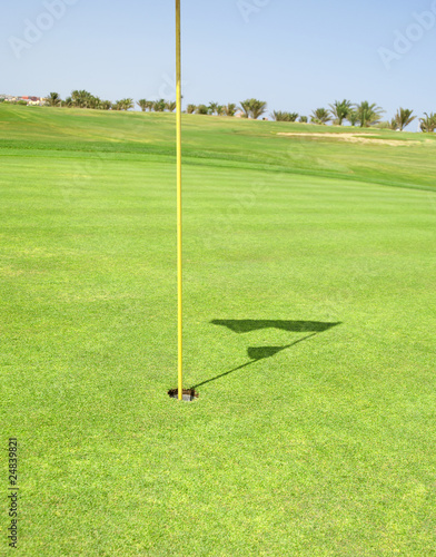 Closeup of a golf course green