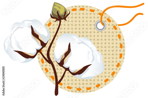 Cotton branch with label (Gossypium)