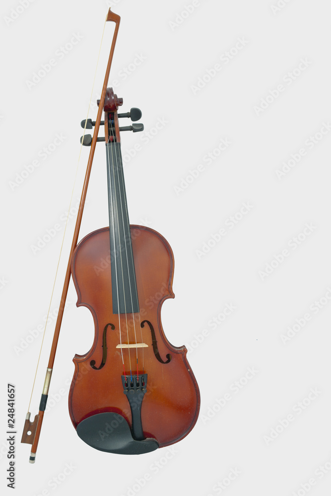 Fototapeta premium Violino