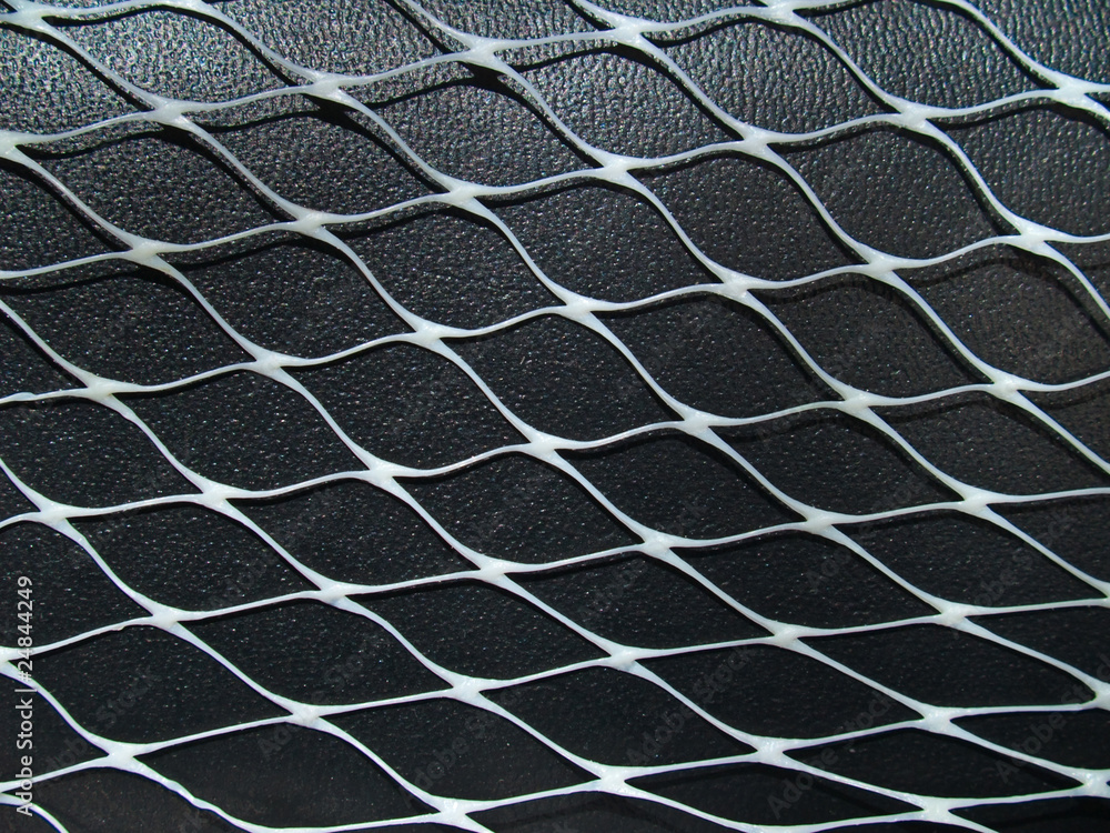 Fototapeta premium White net