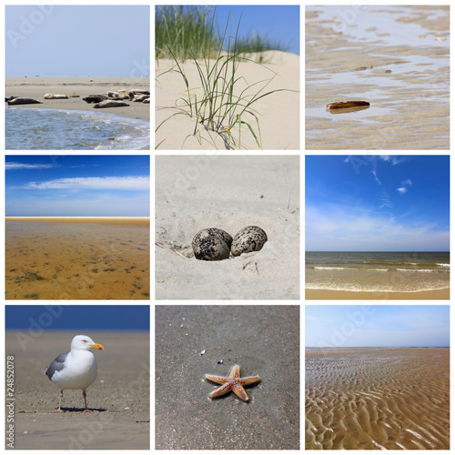 Nordsee Borkum photo