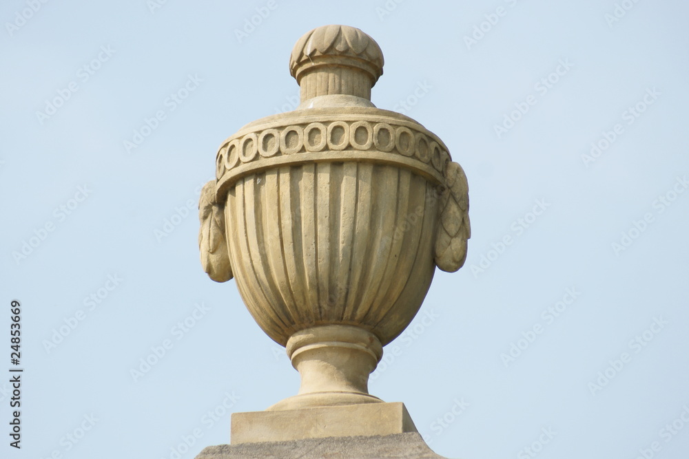 Fototapeta premium vase