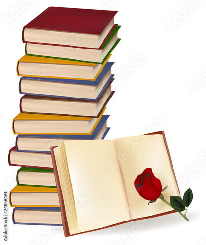 Books and red rose on white background. Vector.