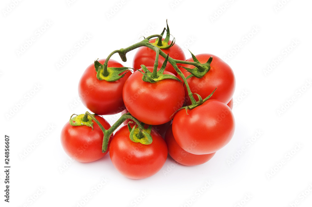 Red tomatoes isolated on the white background Red tomatoes isolated on the white background