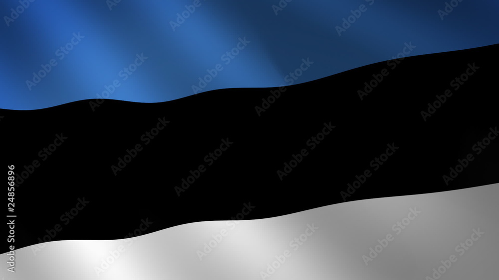 Bandera de Estonia ondulante al viento. Bucle continuo