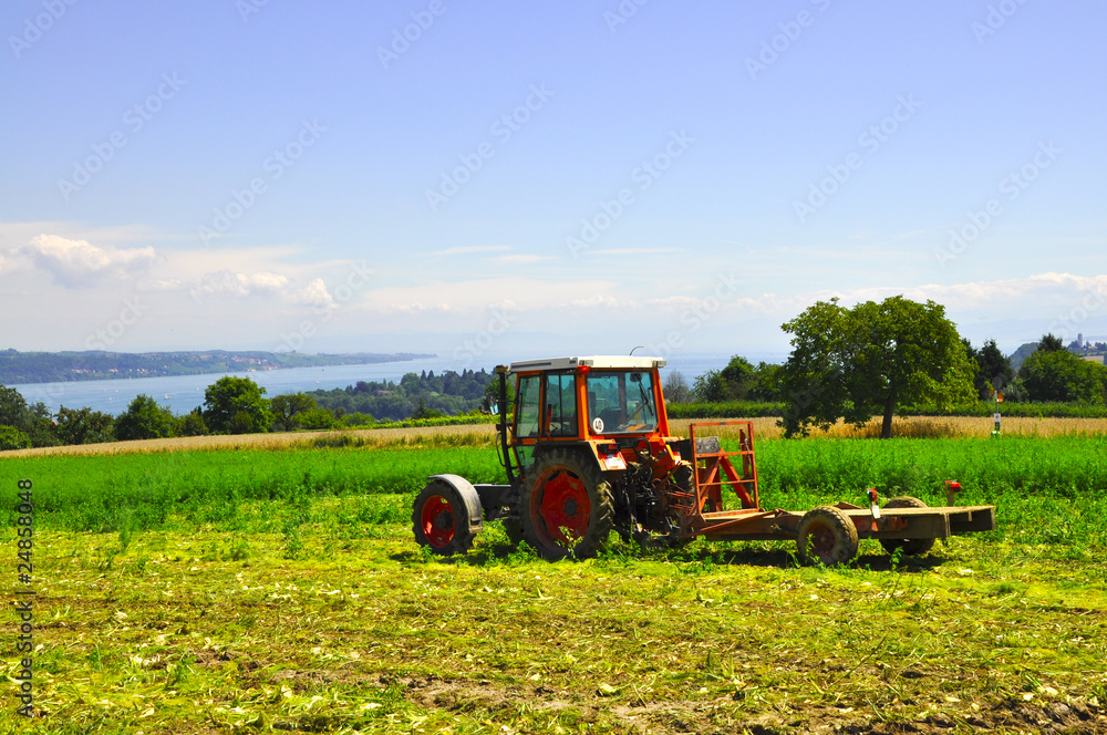 Obraz premium Landwirtschaft am Bodensee