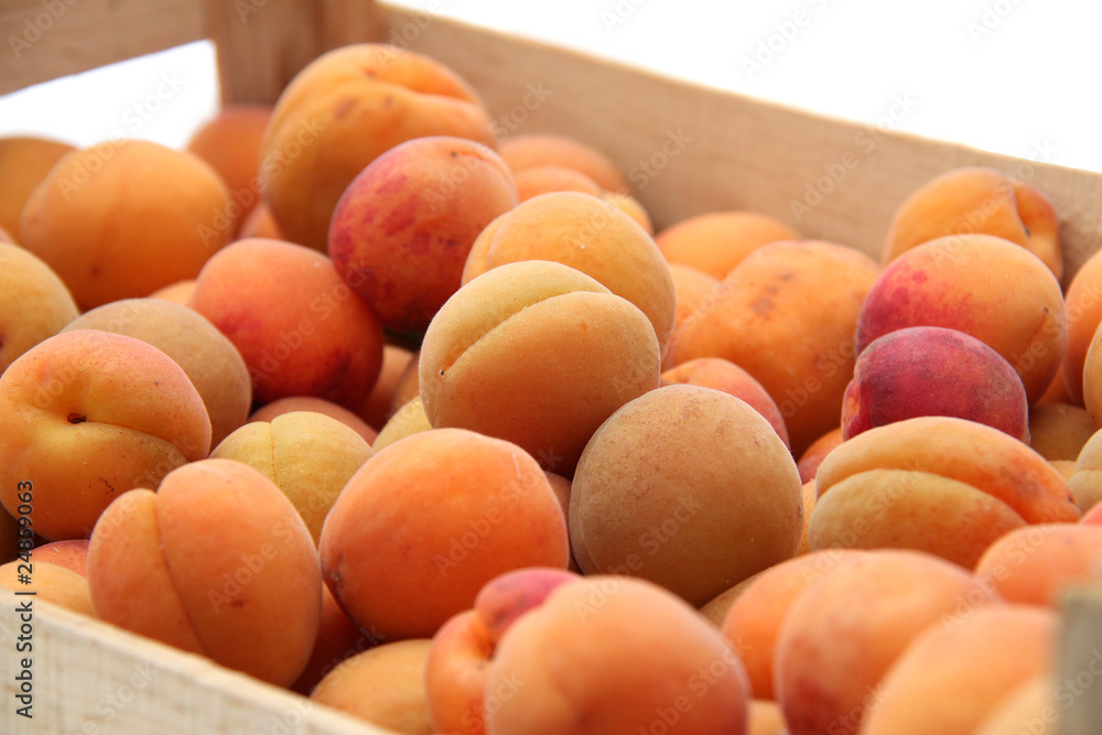 Abricots Abricots
