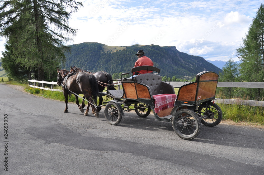 carrozza all'Alpe di Siusi