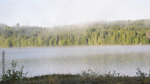 nebliger See