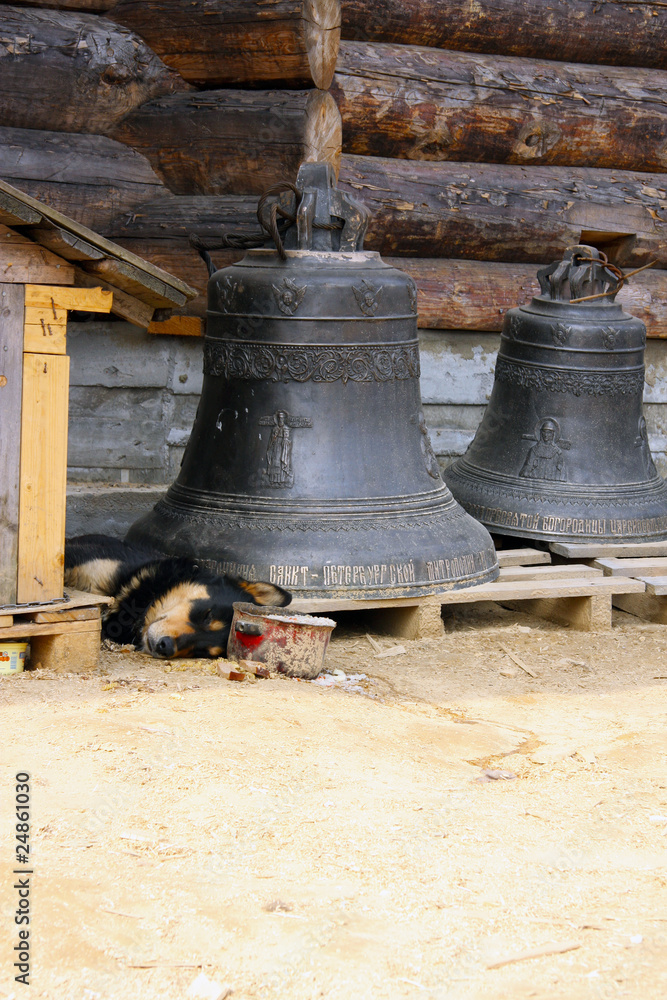 Obraz premium Dog protects bells.
