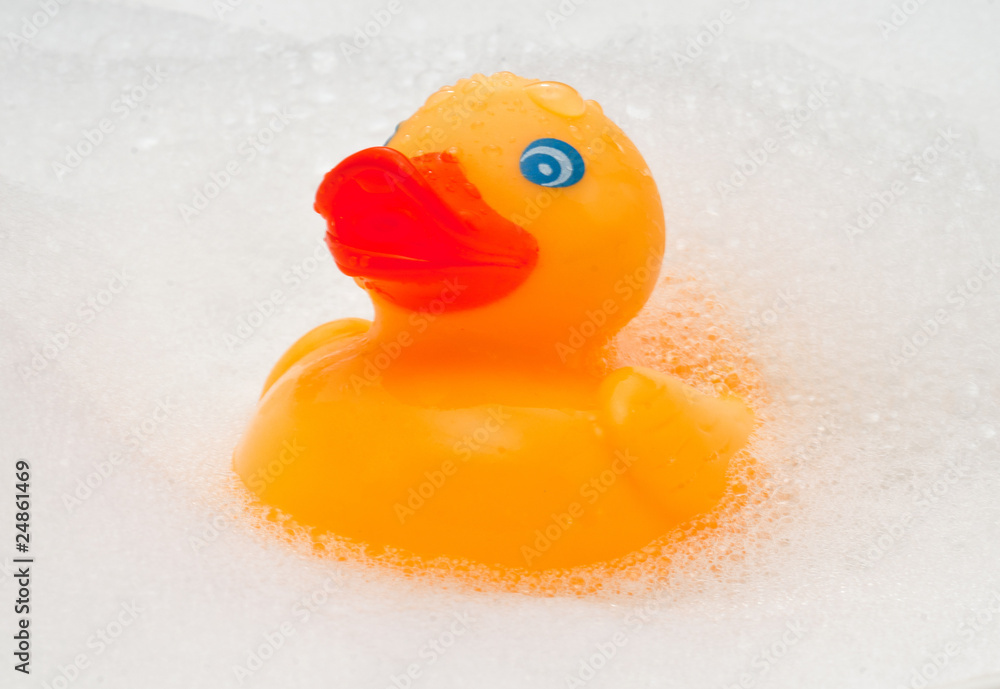 rubber duck rubber duck