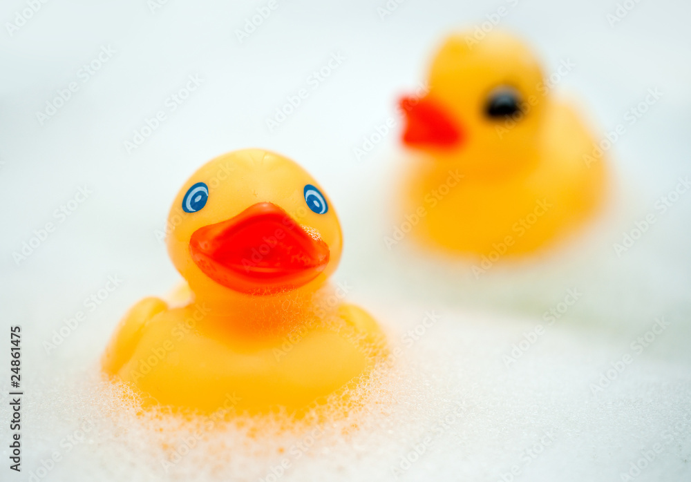 rubber ducks rubber ducks