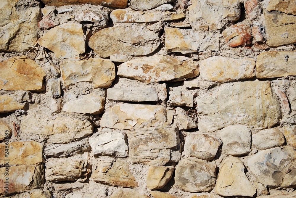 Fototapeta premium muro