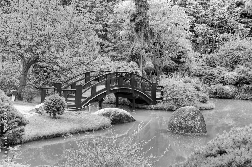 Fototapeta premium Jardin japonais