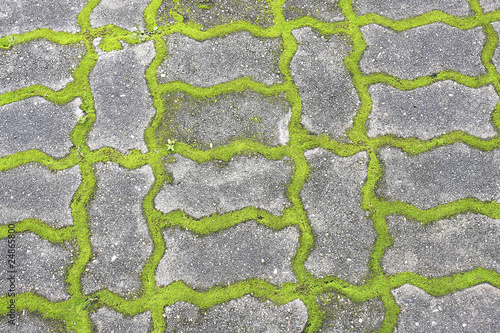 Modern brick causeway. Gray square bricks. Green Grass suture