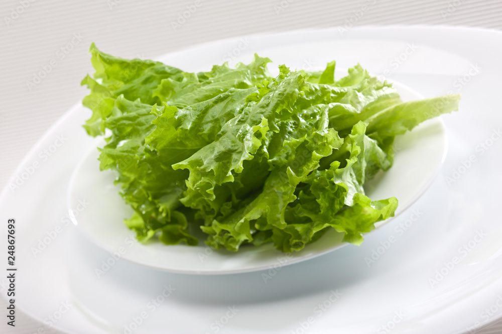 lettuce lettuce