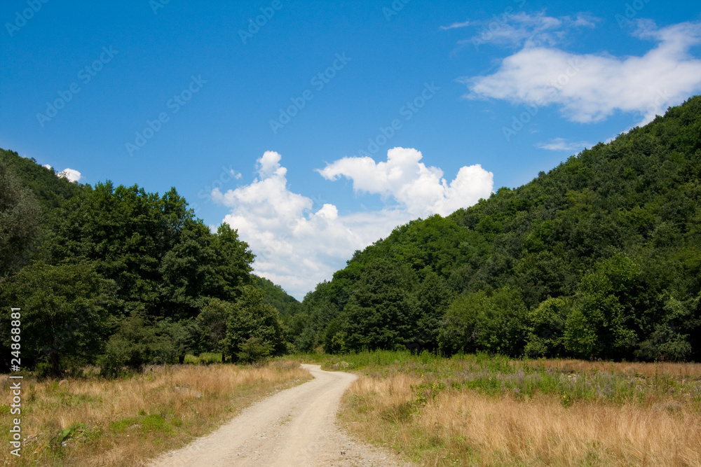 Country dirt road