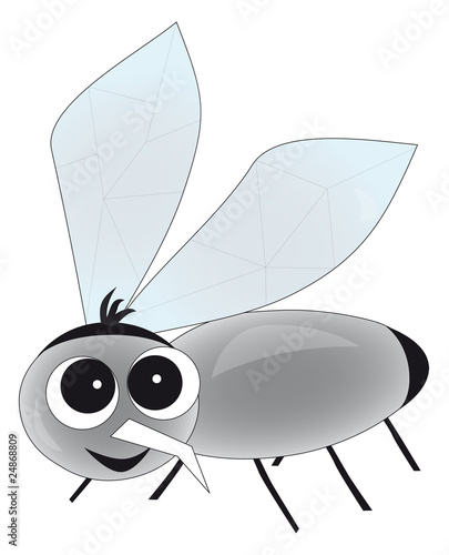 fliege