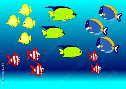 Fisch_002