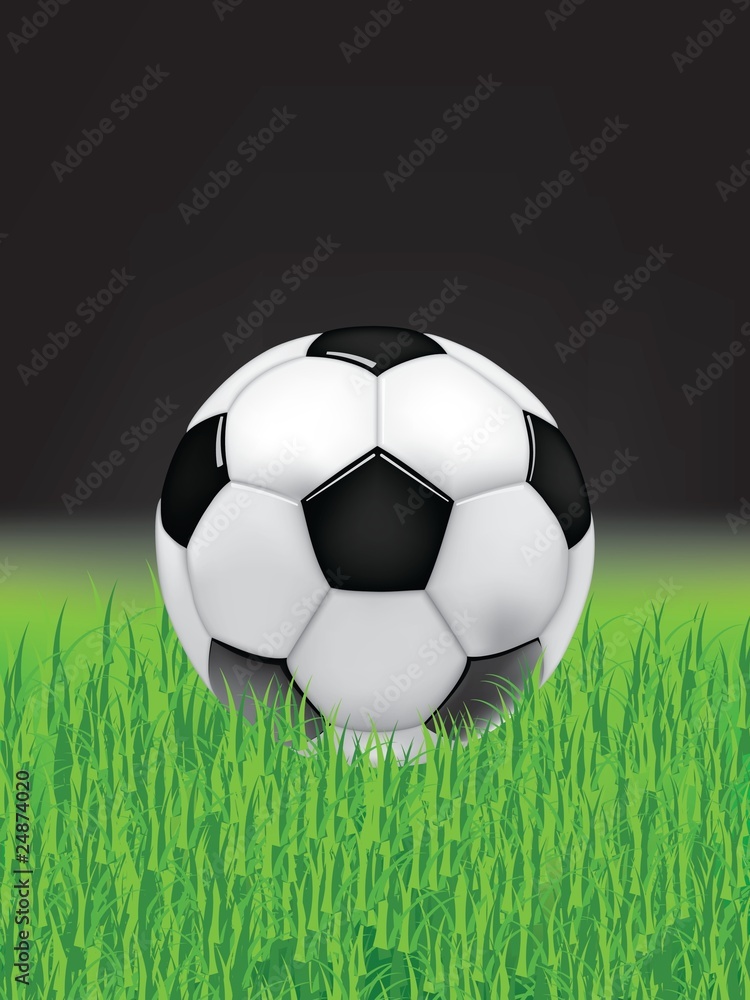 Vector soccer ball on green grass