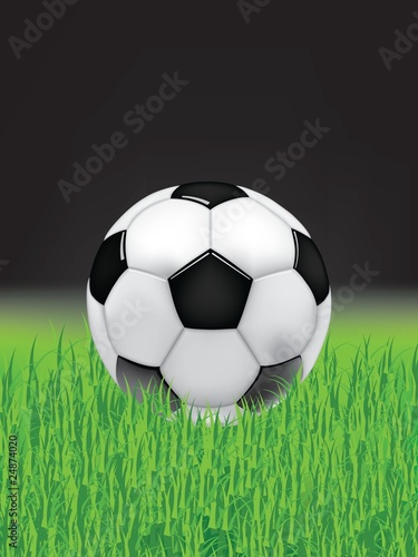 Vector soccer ball on green grass