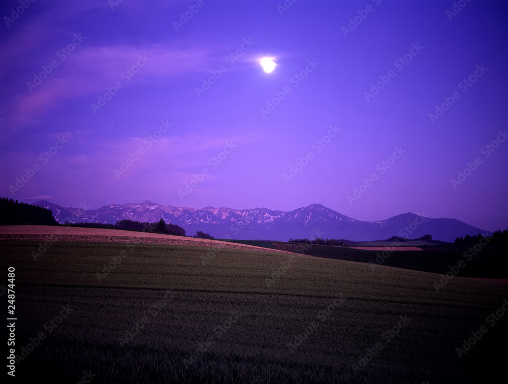 Fototapeta premium 朧