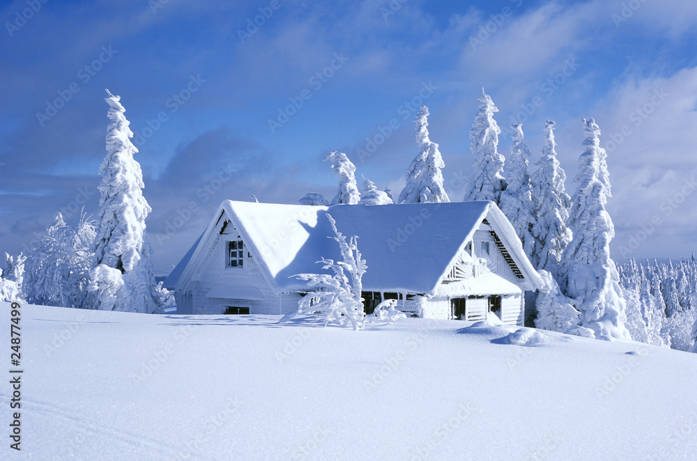 Naklejka premium domek zimą, Góry Orlickie, Czechy