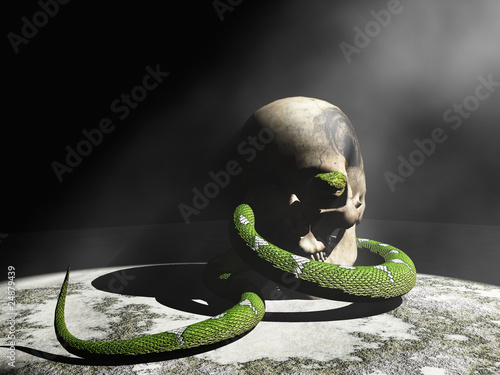Snake and skull